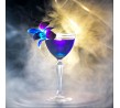 Libbey 140ml Speakeasy Nick and Nora Glass (12)