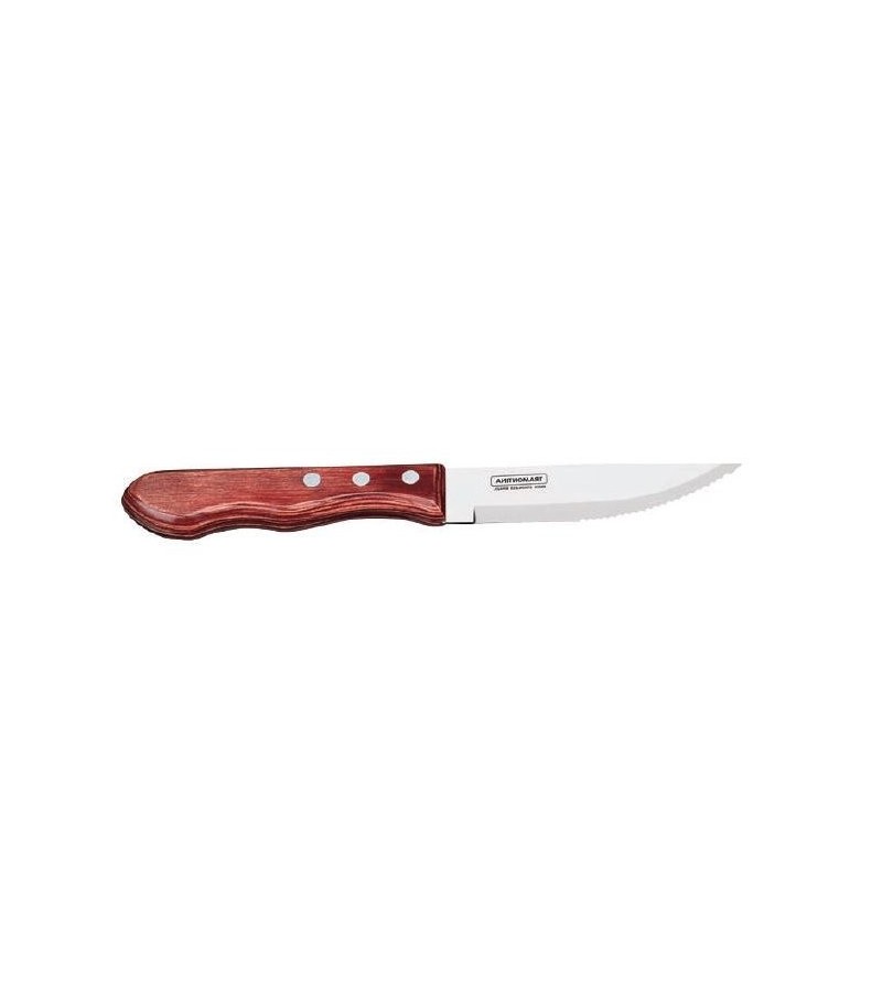 Steak Knife Porterhouse Tramontina 250mm (12)