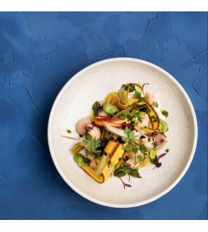 Moda Porcelain Willow