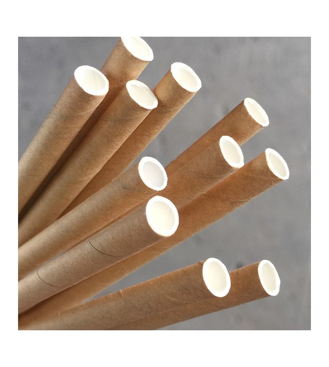 Paper Straw Regular 200mm Kraft (250)
