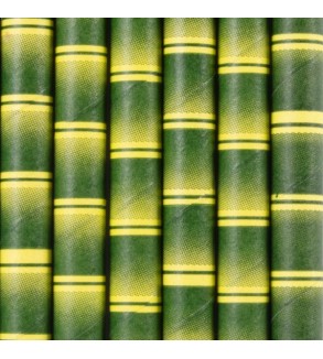 Bamboo Print Jumbo Paper Straw (2500)