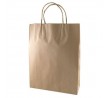 Small Kraft Paper Carry Bag w/Twist Handle 350x260x90mm