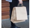 Medium Kraft Paper Carry Bag w/Twist Handle 340x90x480mm (250)