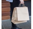 Medium Kraft Paper Carry Bag w/Twist Handle 480x340x90mm (250)