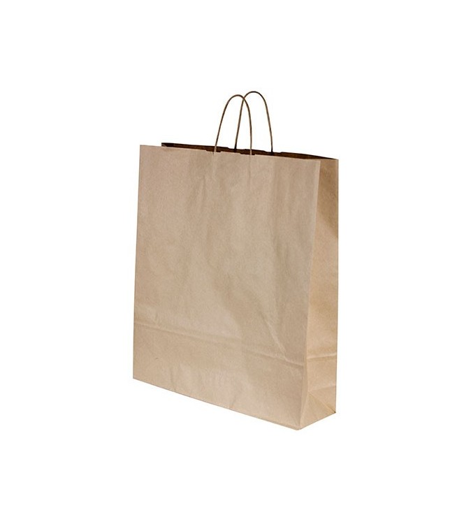 Large Kraft Paper Carry Bag w/Twist Handle 500x450x125mm