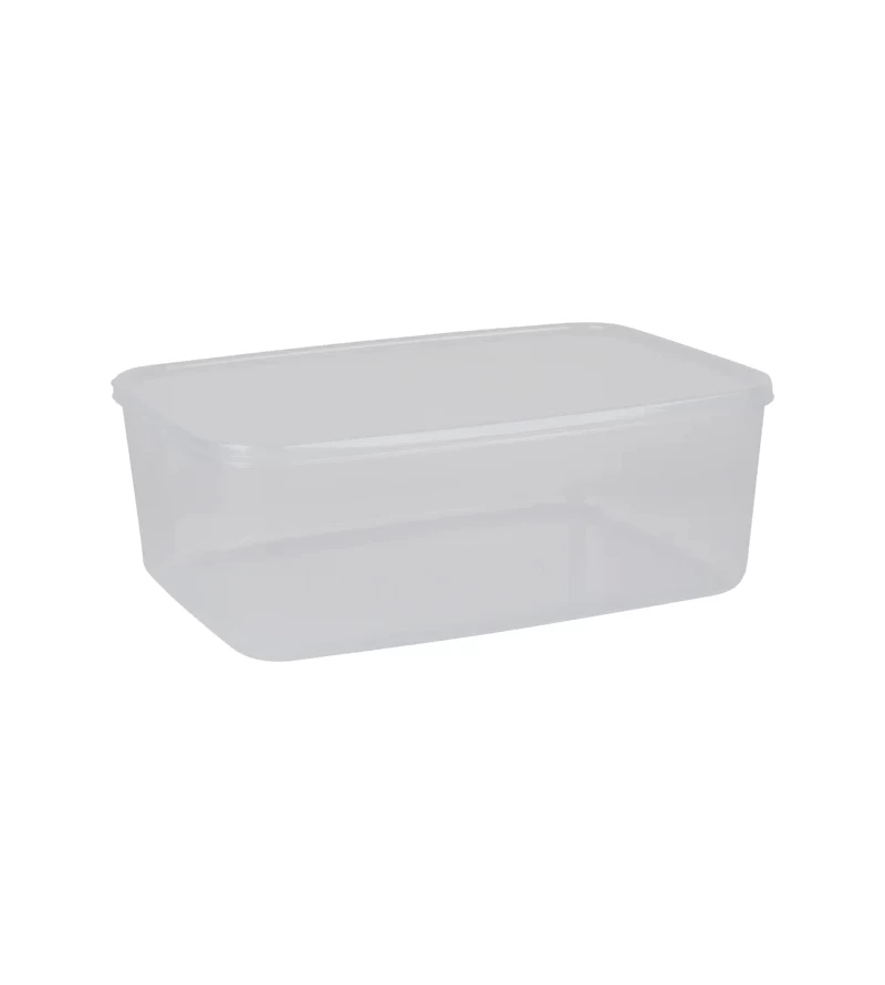 Decor 10L Tellfresh Container Oblong