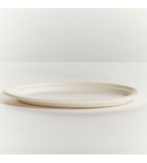 Sugarcane 254x216x22mm Oval Plate White