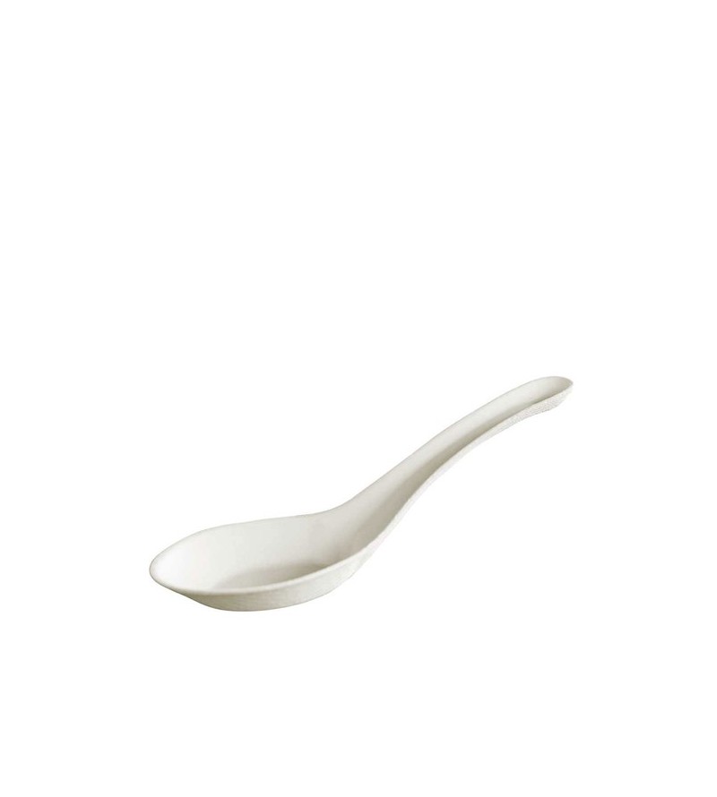 Envirochoice Bagasse Chinese Spoon