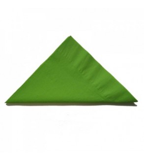 Alpen 2ply Lime Dinner Napkin 400x400mm (1000)