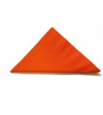 Alpen 2ply Orange Dinner Napkin 400x400mm 1/4 Fold