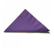 Alpen 2ply Purple Dinner Napkin 400x400mm 1/4 Fold