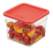 CamSquare 5.7L Food Storage Container with Winter Rose Lid