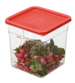 CamSquare 7.6L Food Storage Container with Winter Rose Lid