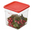 CamSquare 7.6L Food Storage Container with Winter Rose Lid