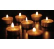 Pure Light 9hr Tealight Candles