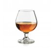 Libbey 274ml Embassy Brandy Glass (12)
